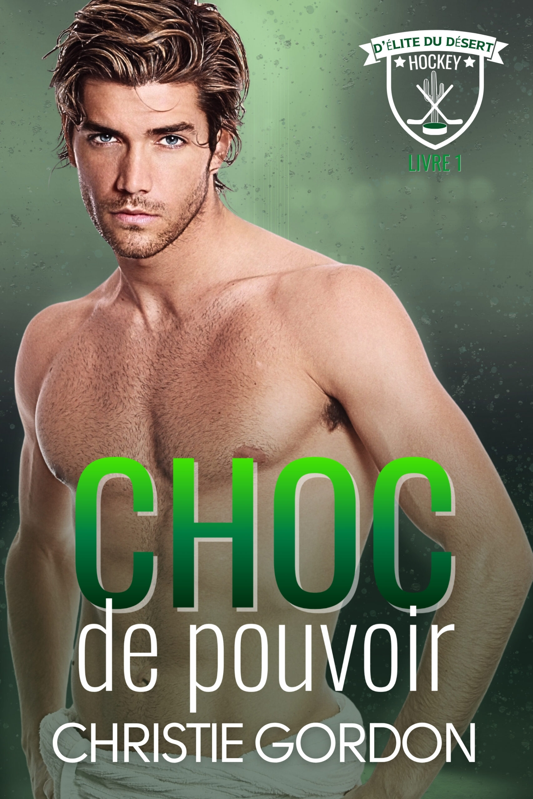 Choc de pouvoir: Une romance M/M de hockey entre un capitaine et le fils du propriétaire — ennemis à amants