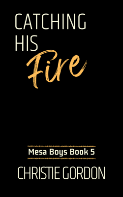 Catching His Fire (Mesa Boys 5): An Enemies to Lovers MM Romance